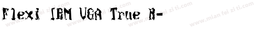 Flexi IBM VGA True R字体转换